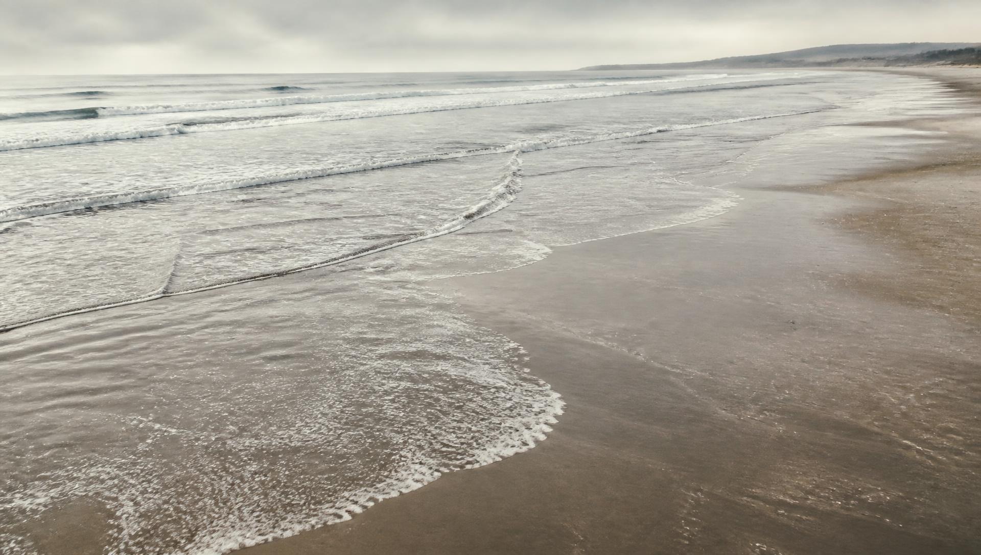 Wet sand at low tide with thin foam retreating under soft overcast light